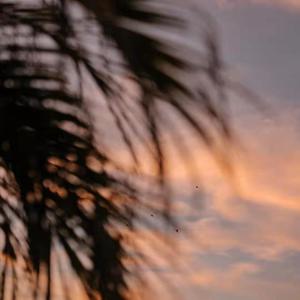 高清视频一区二区免费在线播放
